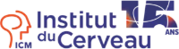 INSTITUT DU CERVEAU