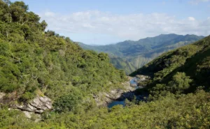 Conservation et Restauration des Habitats Naturels